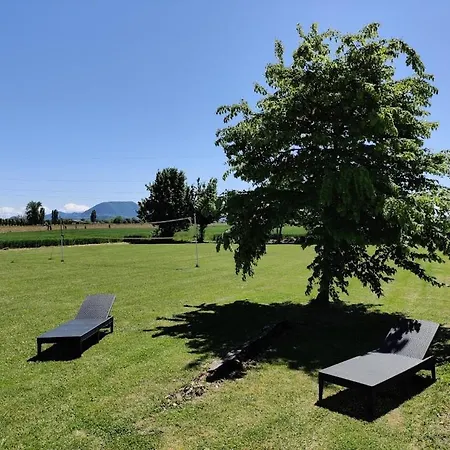 La Sophora *